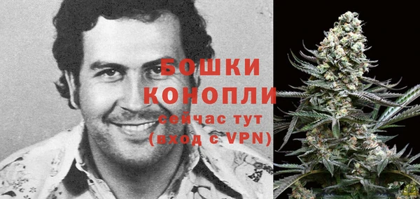 ALPHA-PVP Аркадак