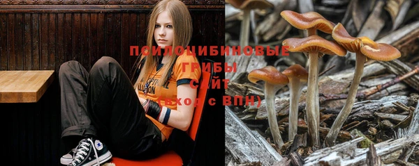 прущие крисы Арсеньев