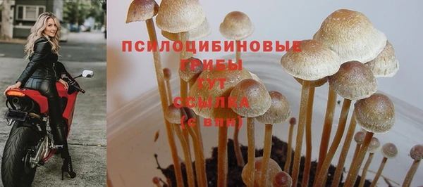 прущие крисы Арсеньев